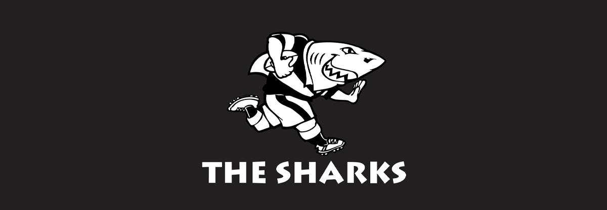sharks rugby jersey mr price